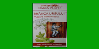 Branca ursului